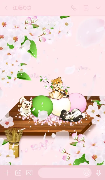 [LINE着せ替え] 花よりわんこ（柴犬、桜吹雪、団子、春）の画像3