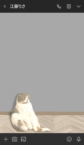 [LINE着せ替え] I'm cat！2の画像3