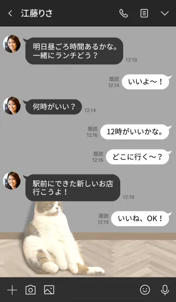 [LINE着せ替え] I'm cat！2の画像4