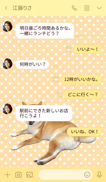 [LINE着せ替え] EVERYDAY しばいぬ1の画像4