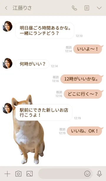 [LINE着せ替え] EVERYDAY しばいぬ4の画像4