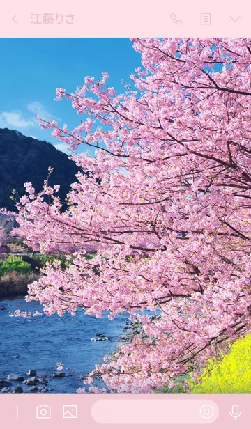 [LINE着せ替え] 春の河津桜の画像3