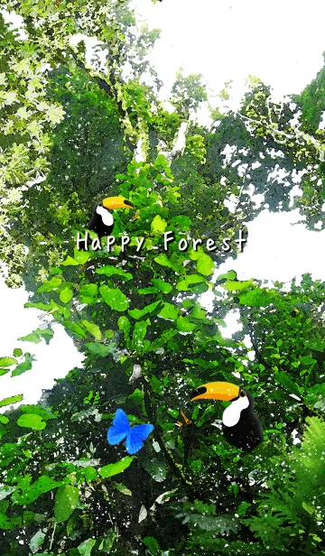 [LINE着せ替え] Happy Forest オニオオハシとモルフォ蝶の画像1