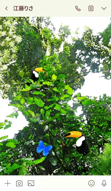 [LINE着せ替え] Happy Forest オニオオハシとモルフォ蝶の画像3