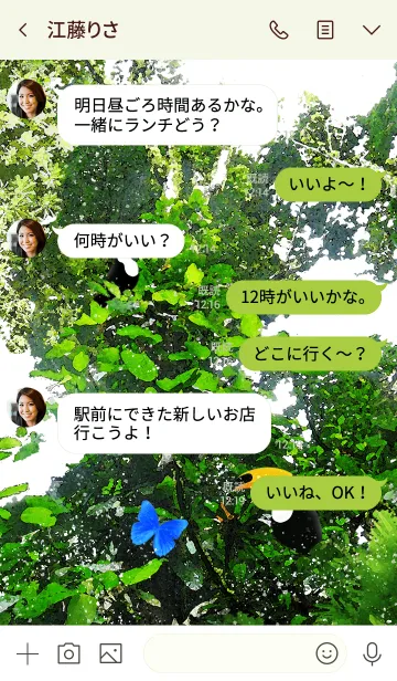 [LINE着せ替え] Happy Forest オニオオハシとモルフォ蝶の画像4