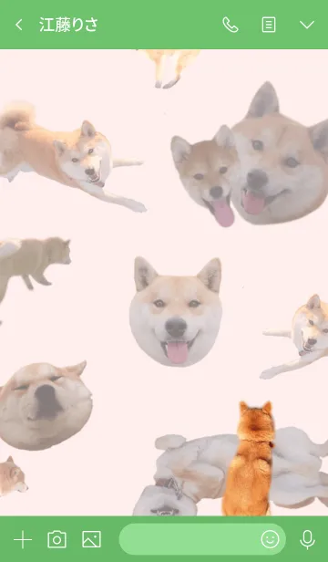 [LINE着せ替え] 柴犬コロの画像3