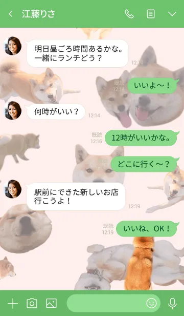 [LINE着せ替え] 柴犬コロの画像4