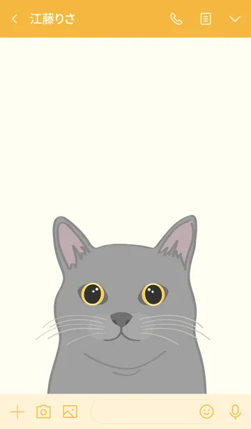 [LINE着せ替え] 私は猫を飼っています（灰色の猫）の画像3