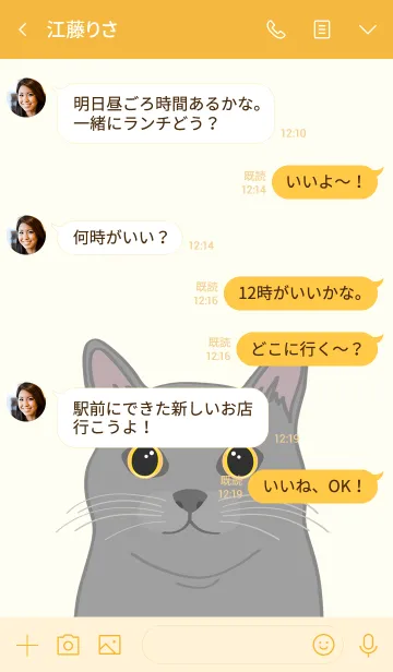 [LINE着せ替え] 私は猫を飼っています（灰色の猫）の画像4