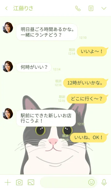 [LINE着せ替え] 私は猫を飼っています（オフホワイトの猫）の画像4