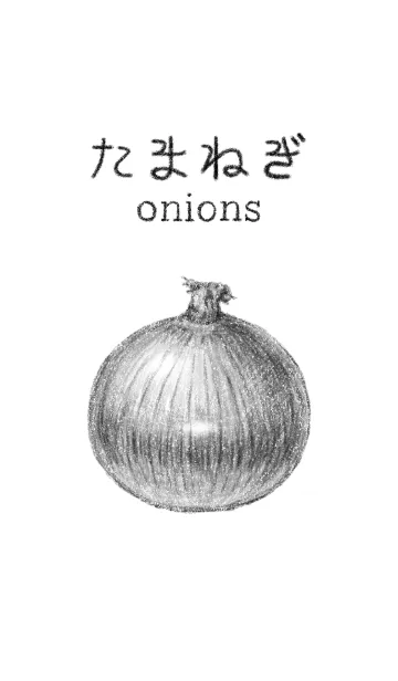 たまねぎ[鉛筆デッサン風]のLINE着せ替え｜画像、情報など
