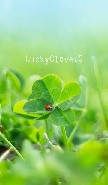 [LINE着せ替え] LuckyClover2の画像1