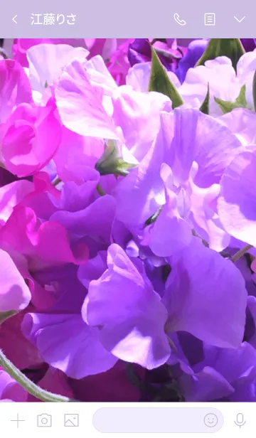 [LINE着せ替え] SWEET PEA 9 -PURPLE-の画像3