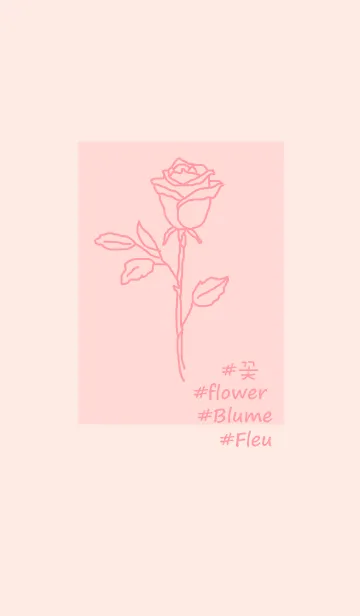 [LINE着せ替え] #flower* rose (baby pink)の画像1