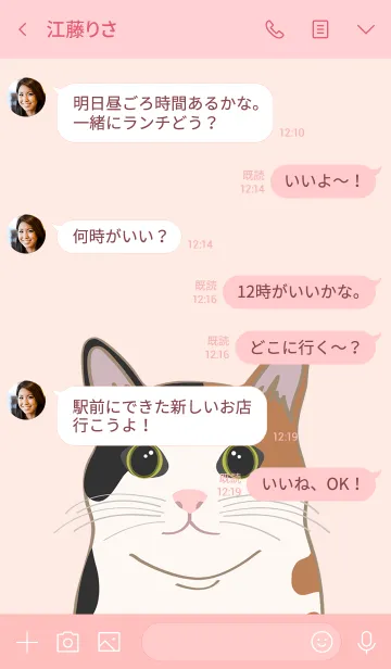 [LINE着せ替え] 私は猫を飼っています（三華猫）の画像4