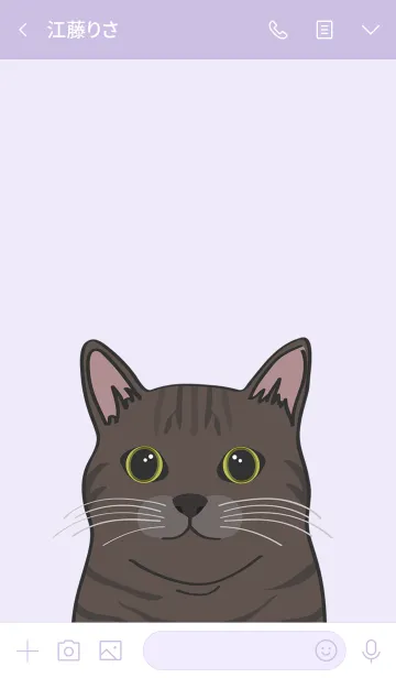 [LINE着せ替え] 私は猫を飼っています（トラ猫）の画像3