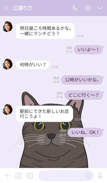 [LINE着せ替え] 私は猫を飼っています（トラ猫）の画像4