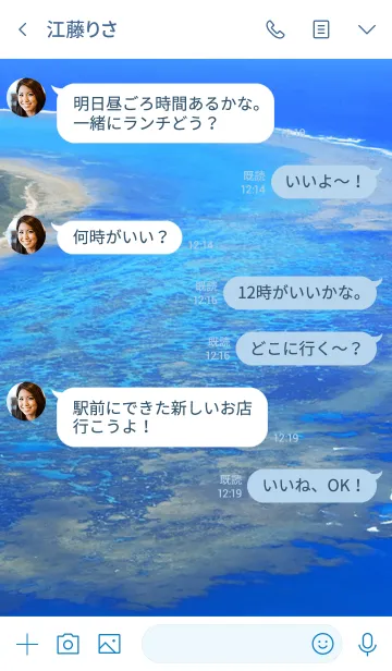 [LINE着せ替え] 美しいサンゴ礁が観られる白保海岸の画像4