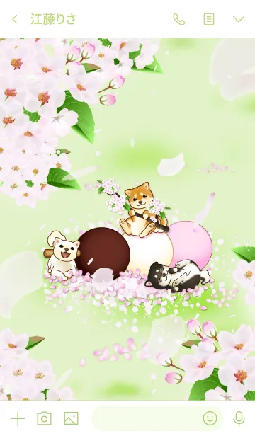 [LINE着せ替え] 花よりわんこ（柴犬、桜、団子、春、緑）の画像3