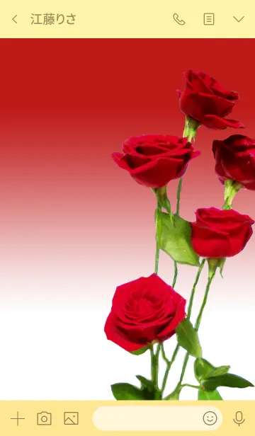 [LINE着せ替え] ゴージャスで美しい赤い薔薇の画像3