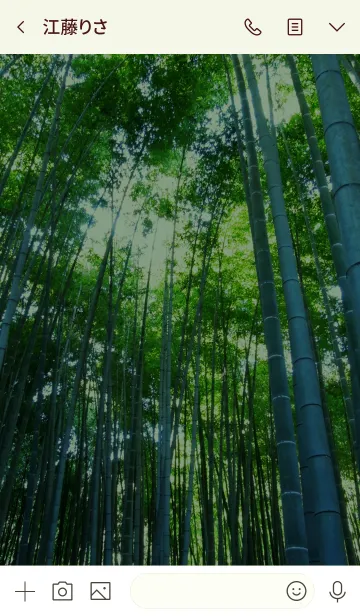 [LINE着せ替え] 竹林－Bamboo Groveの画像3