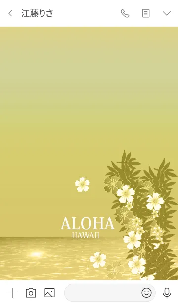 [LINE着せ替え] ハイビスカス*ハワイ＊ALOHA+107の画像3