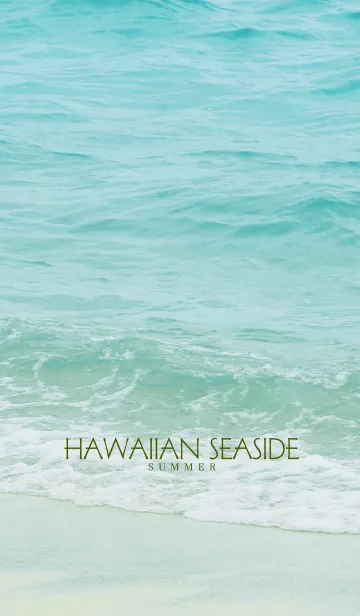 [LINE着せ替え] HAWAIIAN SEASIDE 19 -SUMMER-の画像1