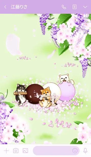 [LINE着せ替え] 花よりわんこ（柴犬、藤、桜、梅、団子）の画像3