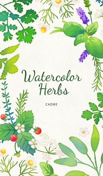 [LINE着せ替え] Watercolor Herbsの画像1