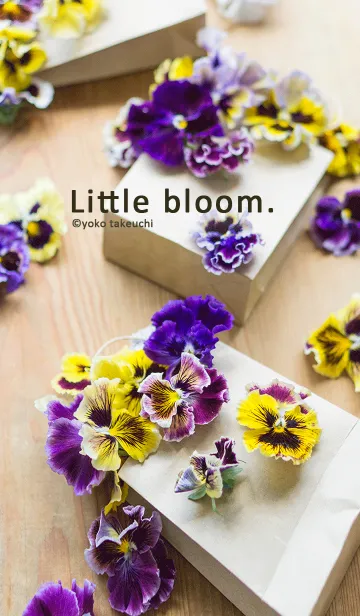 [LINE着せ替え] Little bloom. かわいいビオラのきせかえの画像1