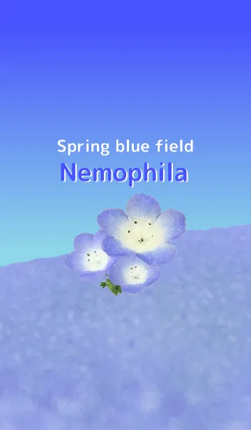 [LINE着せ替え] Spring blue field Nemophilaの画像1