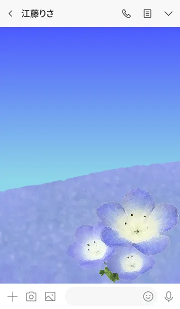 [LINE着せ替え] Spring blue field Nemophilaの画像3