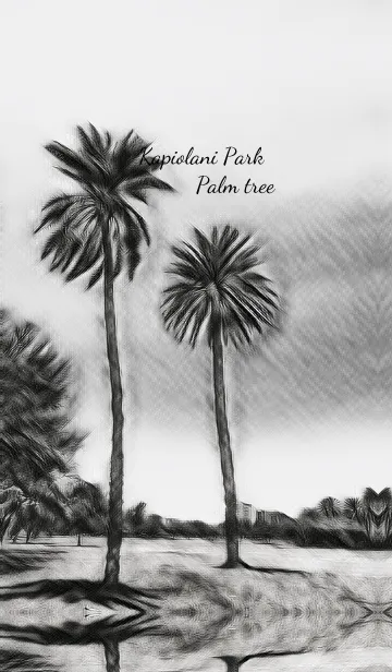 [LINE着せ替え] Kapiolani Park Palm tree.の画像1