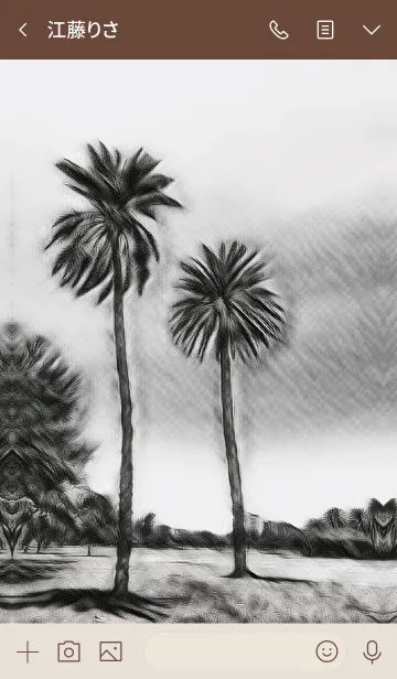 [LINE着せ替え] Kapiolani Park Palm tree.の画像3