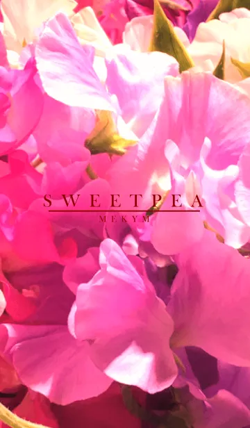 [LINE着せ替え] SWEET PEA -Flower-の画像1