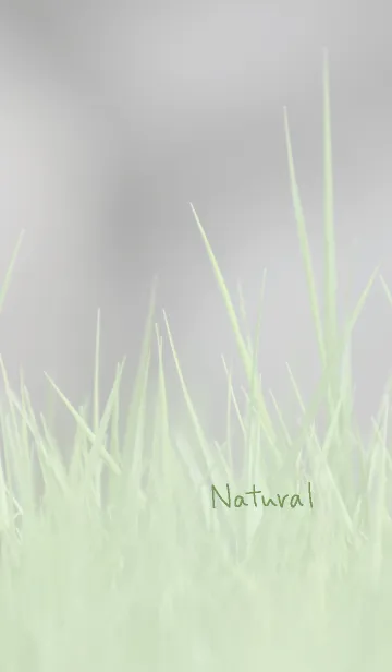 [LINE着せ替え] ナチュラルなきせかえ3の画像1