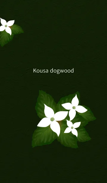 [LINE着せ替え] Kousa dogwoodの画像1