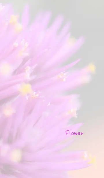 [LINE着せ替え] 花のきせかえ6の画像1