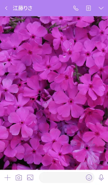 [LINE着せ替え] flower pink theme.の画像3