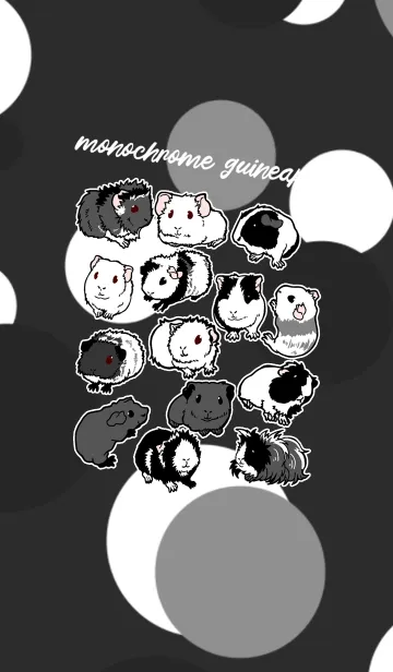 [LINE着せ替え] Monochrome Guineapigの画像1