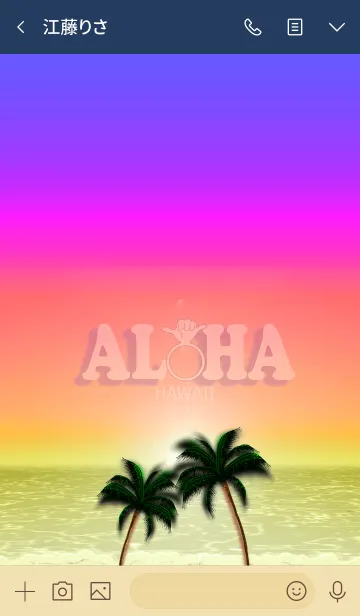 [LINE着せ替え] ハワイ＊ALOHA+120の画像3