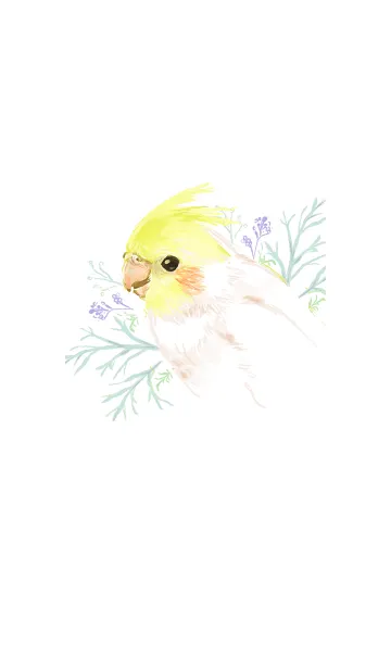 [LINE着せ替え] ボタニカルなオカメインコの画像1