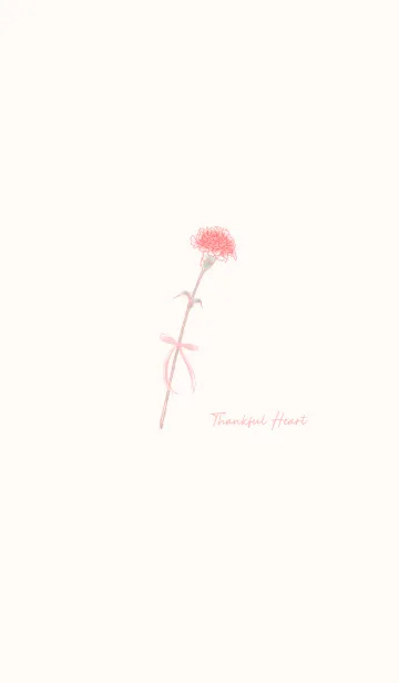 [LINE着せ替え] シンプル・カーネーションの画像1