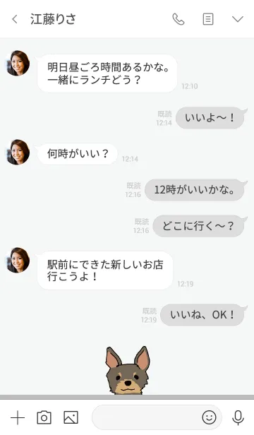 [LINE着せ替え] グレー : ヨークシャーテリアの画像4