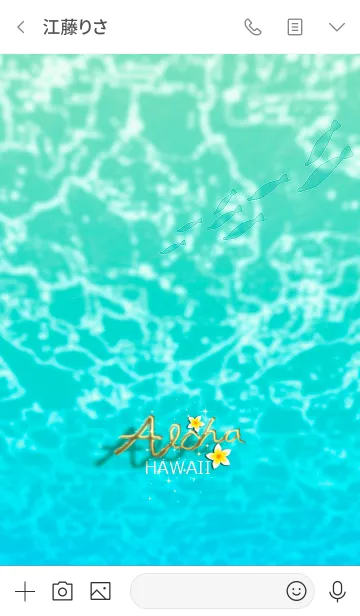 [LINE着せ替え] 透き通るハワイ＊ALOHA+126の画像3