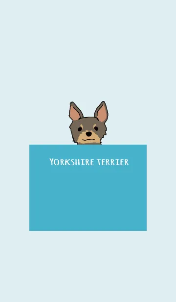 [LINE着せ替え] 青 : ヨークシャーテリアの画像1