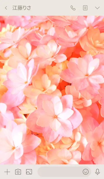 [LINE着せ替え] AJISAI Flower -MEKYM- 2の画像3