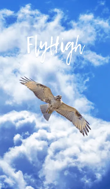 [LINE着せ替え] FlyHighの画像1