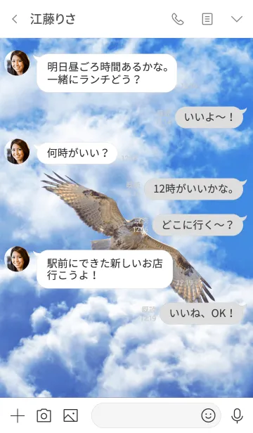 [LINE着せ替え] FlyHighの画像4