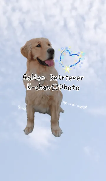 [LINE着せ替え] ゴールデンレトリバーのKちゃん☆Photo青空の画像1